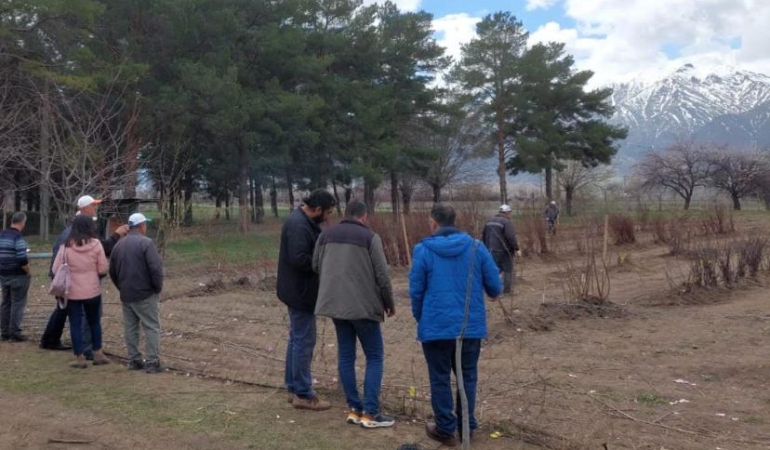 Meyve fidanlarının satışı hafta sonuda sürecek