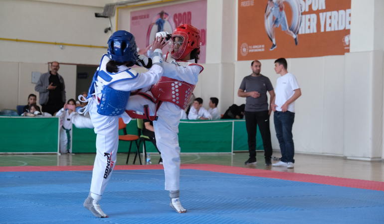 Taekwondo il birinciliği tamamlandı