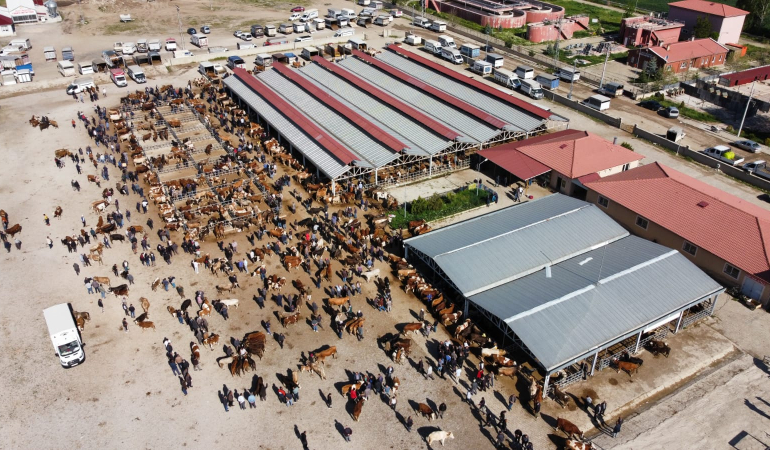 Kelkit Kurban Pazarı Bayrama Hazırlanıyor: Hareketlilik Son Günlerde Artıyor