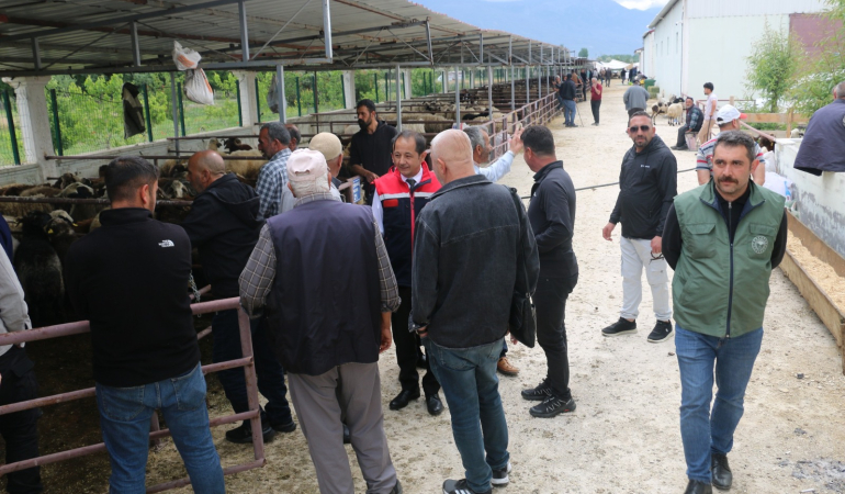 Erzincan Hayvan Pazarında bayram yoğunluğu yaşanıyor