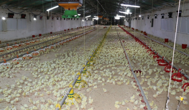 Erzincan’da birlikten kuvvet doğacak
