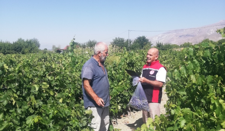 Pestisit Denetimleriyle Kalite Güvence Altında
