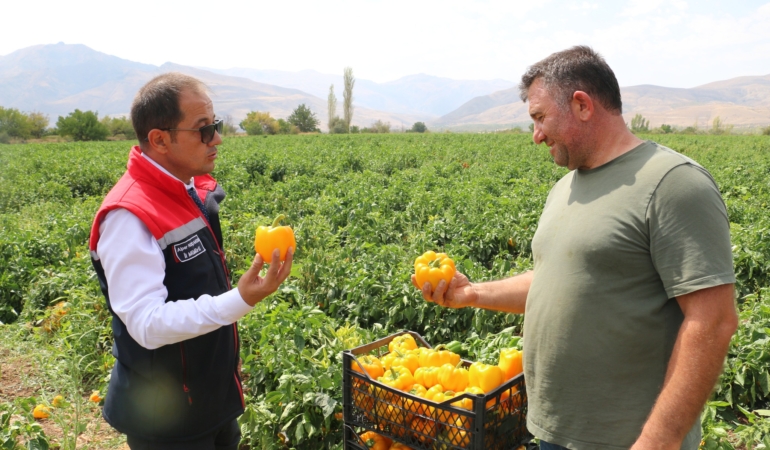 Erzincan’da Yeni Biber Çeşitleriyle Tarımda Büyük Başarı