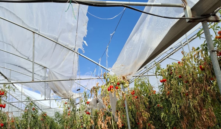 Erzincan’da talepte bulunanlar kontrol ediliyor