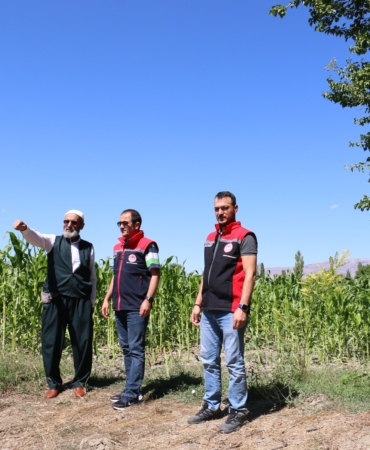 silajilk mısır hasat