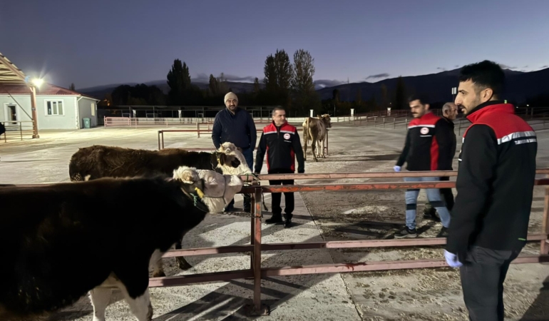 Erzincan Canlı Hayvan Pazarı Açıldı