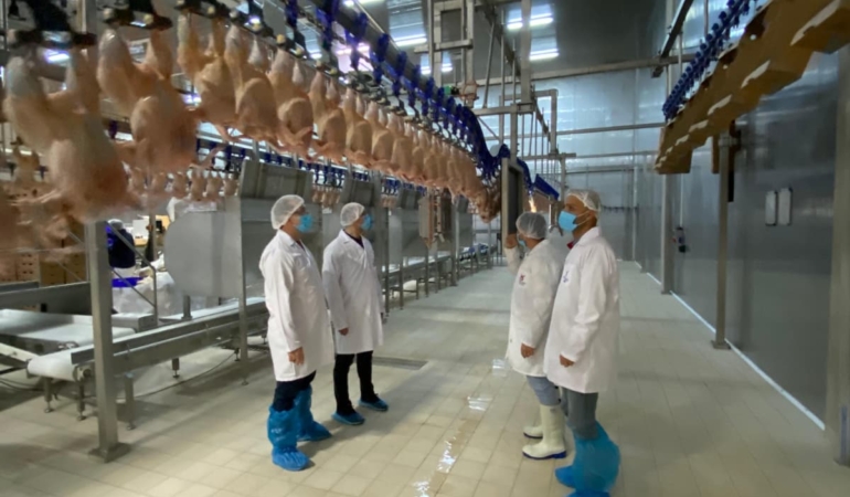 Erzincan’da Tavuk Kombinasında Denetim Gerçekleştirildi