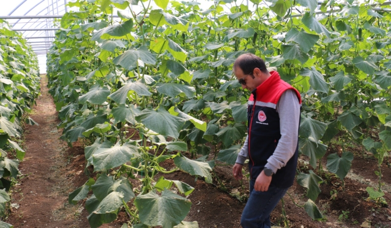 Erzincan’da Pazar seçenekleri araştırılıyor
