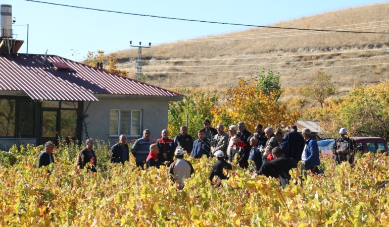 Üzüm bağlarında sonbahar eğitimleri başladı
