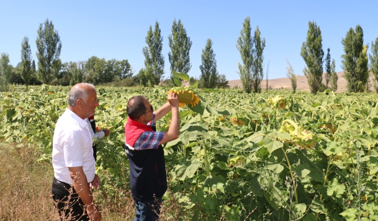 Erzincanlı Çiftçiler İçin Geri Sayım Başladı: ÇKS Başvuruları 31 Aralık’ta Sona Eriyor