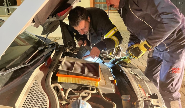 Erzincan’da Kedi, Motor Kısmına Sıkıştı; İtfaiye Ekipleri Başarıyla Kurtardı
