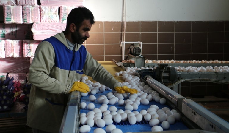 Erzincan Tarımında Teknoloji Kullanımı Artıyor