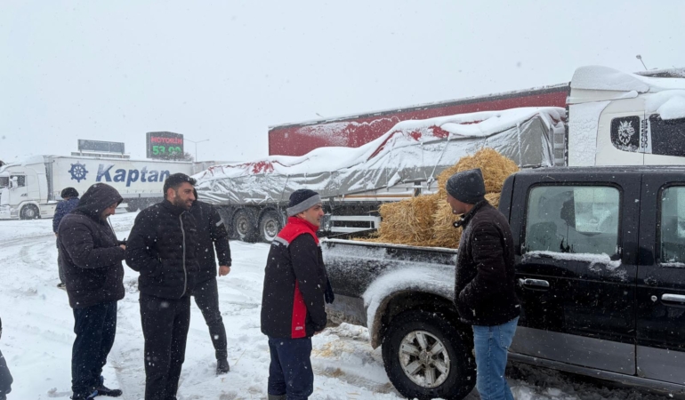 Erzincan’da Tarım Ekipleri Seferber Oldu