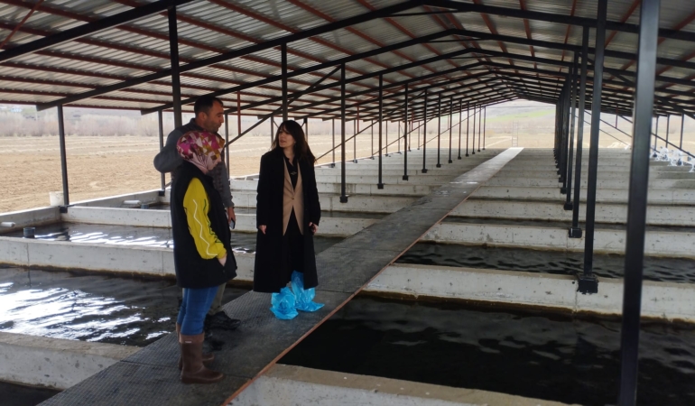 Tercan’da Alabalık Üretimine Sıkı Denetim