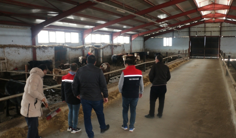 Erzincan’da Besicilikte Yatırımlar Sürüyor