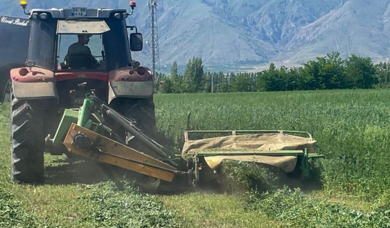 Erzincan Belediyesi 72 Dönümlük Yonca Tarlasında Hasada Başladı