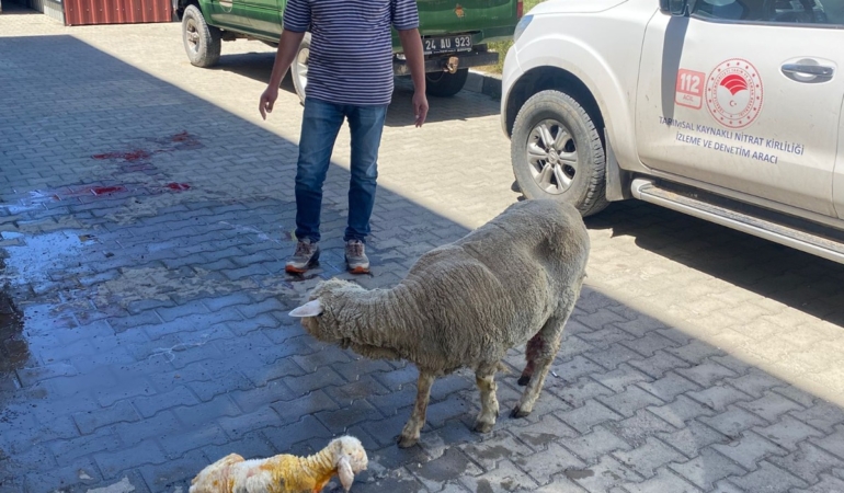 Arabaya Koyup İl Müdürlüğüne Koştu