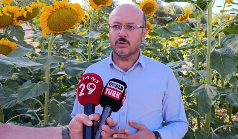 Söğütlü 5  Temmuz’da ki Yayla Şenliğine Hazırlanıyor
