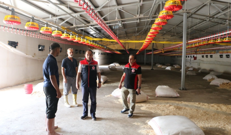 TKDK Destekli Modern Broiler Tesisi Erzincan’da Üretime ve İstihdama Katkı Sağlıyor