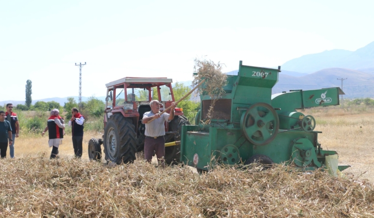Erzincan’da Kuru Fasulye Hasadı Başladı