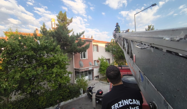 Kedi İtfaiye Ekiplerinin Müdahalesiyle Kurtarıldı