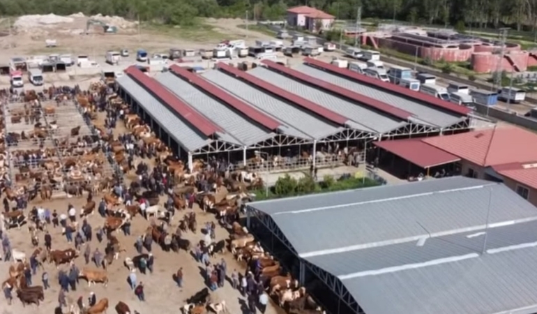 Kelkit Hayvan Pazarı Kapatıldı