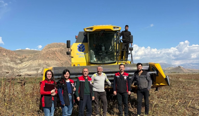 Erzincan’da Ayçiçeği Hasadında Dane Kaybına Sıkı Denetim